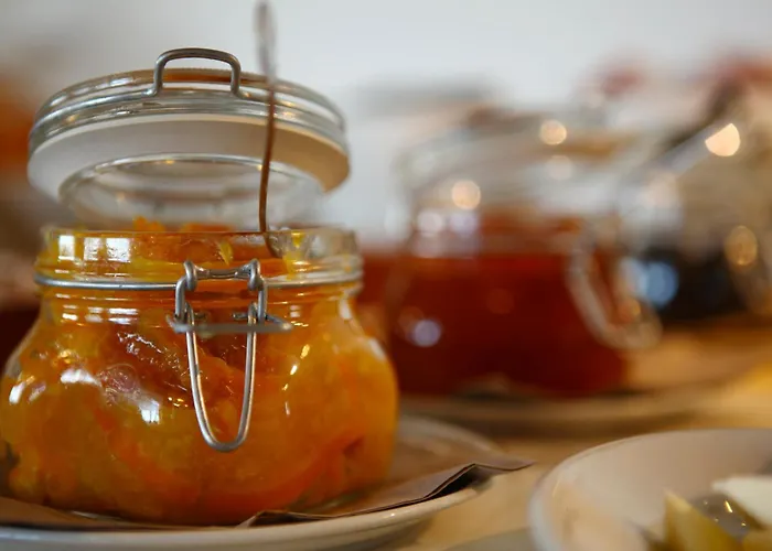 Hotel adatto agli animali: Hotel Rosita